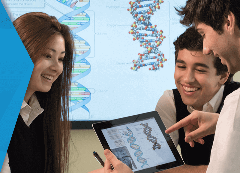 students looking at DNA graph