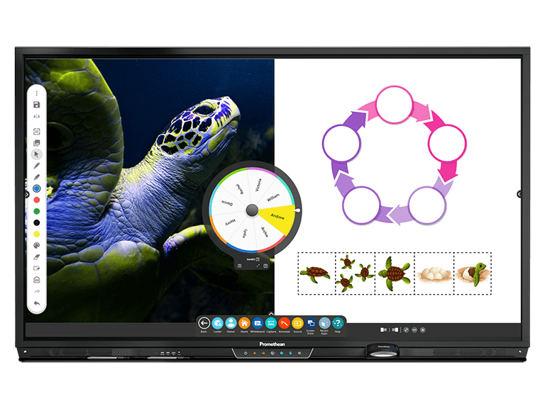 ActivPanel Interactive Display